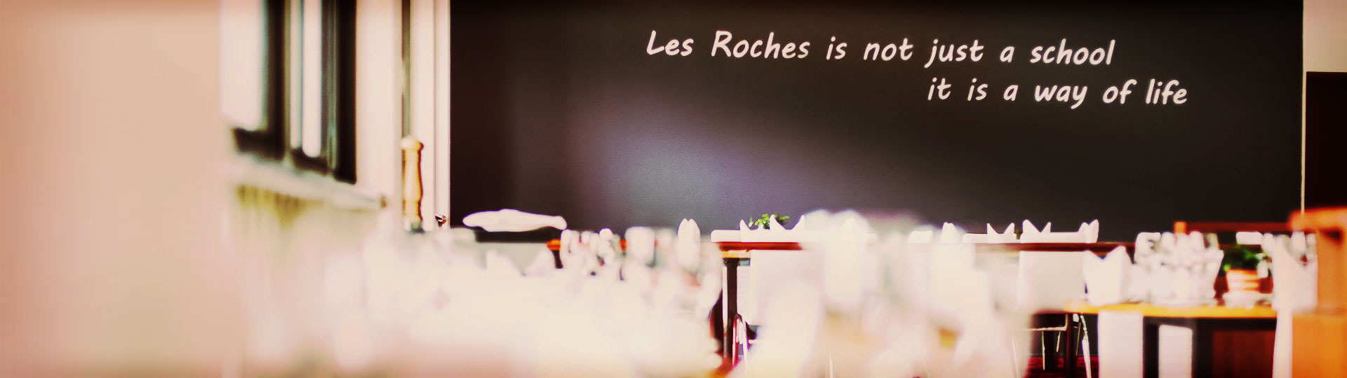 About Les Roches banner